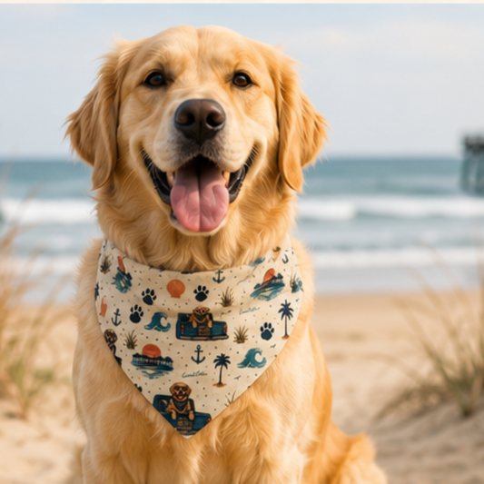Shell Yeah I Fetch | Coastal Dog Bandana